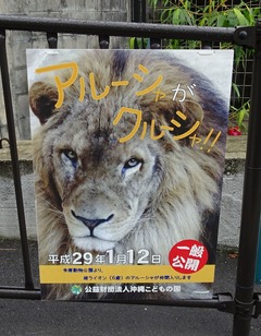 DSC06864-1