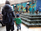 小さな観客