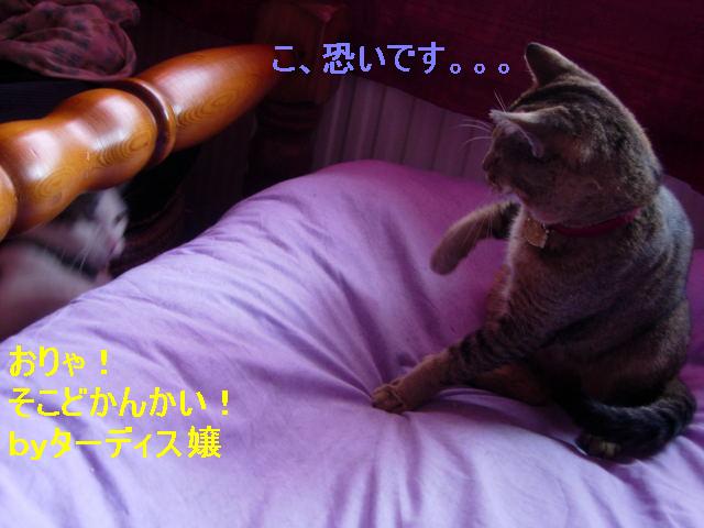 決闘