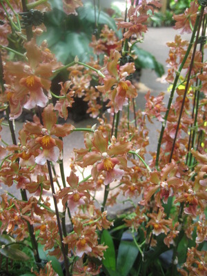 2011 Feb 023