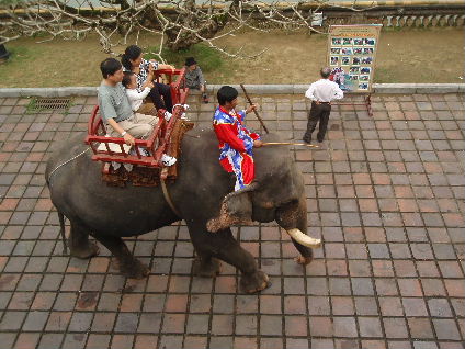 HOI AN 2009 519