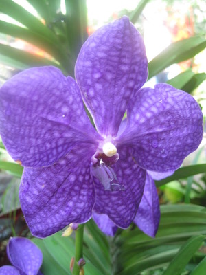 2011 Feb 030
