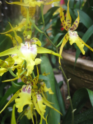 2011 Feb 029