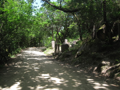 GERES 017