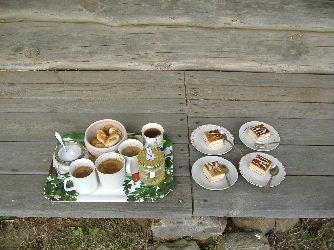 4503087a.jpg