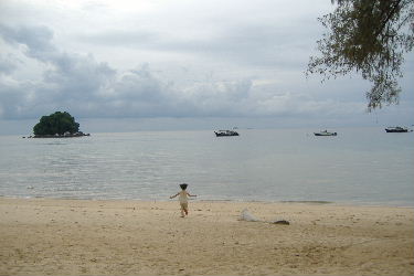 5e875207.jpg