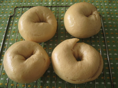 744aa82f.jpg