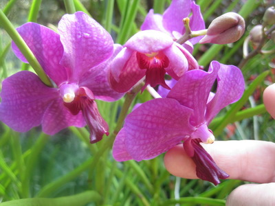 2011 Feb 018