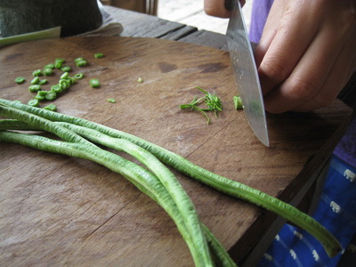 CHANG MAI 2010 478