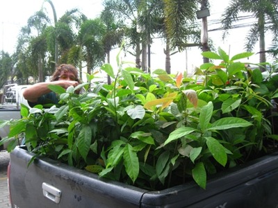 2011 may 19 254