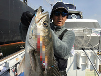 BlogPaint