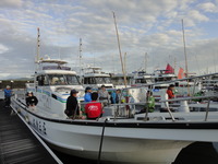 DSC03995