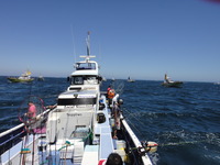 DSC04540