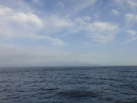 DSC07534