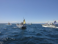 DSC04542