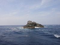 DSC03411