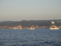 DSC06228