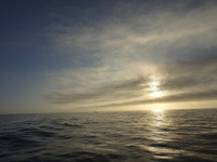 DSC07272