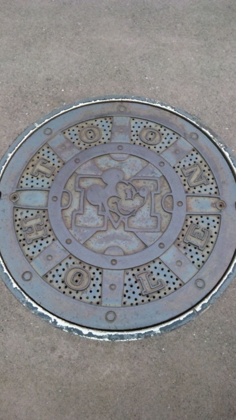 ディズニーランド マンホール
