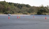 IMG_2803