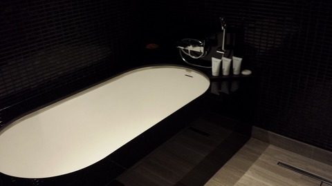 nobuhotelmanila08