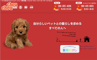 シュシュ