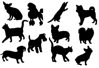 犬猫