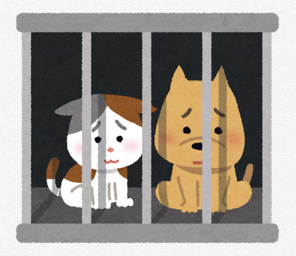 犬猫の寂しさ