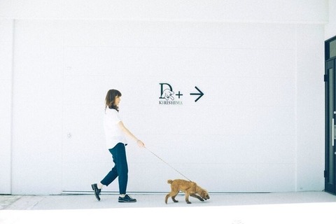 D+