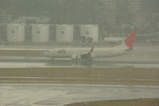 B737-800¡ÊJAL¡Ë