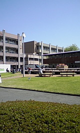 1c8e1766.jpg