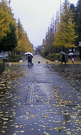 2d52e388.jpg
