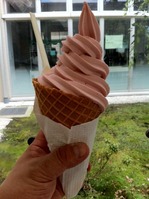 20120620sakurajousui