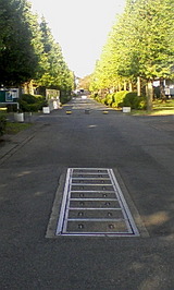6188e296.jpg