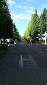 78931b51.jpg