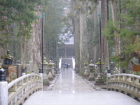 20150226