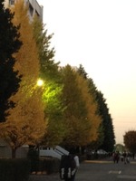 20121116funabashi