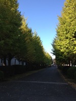 20121026funabashi