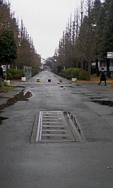 92820212.jpg
