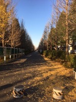 20161209