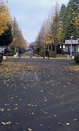 b134d987.jpg