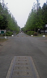 d45953c8.jpg