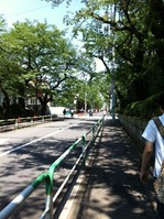 20120523sakurajousui