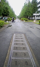 df397335.jpg