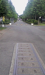 e7bacb92.jpg