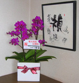 conv0001