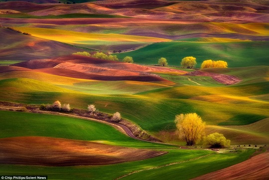 1409222482148_wps_29_These_spectacular_sprawli