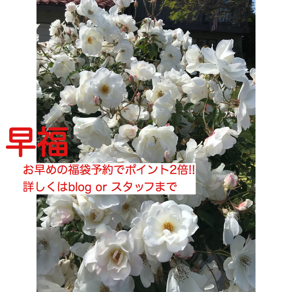 F3C16AF4-1C4C-4375-B175-11E32E907768