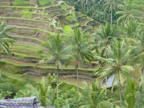 P1000220