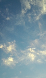 4c8426cc.jpg
